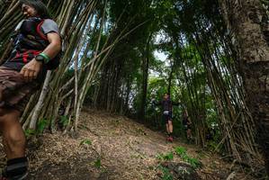 BIB: 
                            <button type="button" onclick="openModal(19395855)" class="btn btn-primary btn-sm float-right btn-popup" data-toggle="modal" data-target=".modal-high-quality">
                        <i class="fas fa-shopping-cart"></i> Add to Cart
                    </button>
                                            <button type="button" onclick="isThisMe(19395855, true)" class="btn btn-success btn-sm float-right btn-popup btn-isme hidden" data-toggle="tooltip" data-placement="bottom" title="นี่คือรูปของคุณใช่ไหม คลิกที่นี่เพื่อเอาเข้าอัลบั้ม">
                        <i class="fas fa-plus"></i> Add to album
                    </button>
                    <button type="button" onclick="isThisMe(19395855, false)" class="btn btn-warning btn-sm float-right btn-popup btn-isnotme hidden">
                        <i class="fas fa-ban"></i> Remove from album
                    </button>